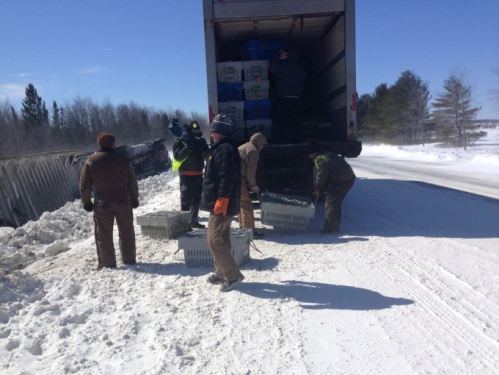 Photo source: Chris Rose/WCSH